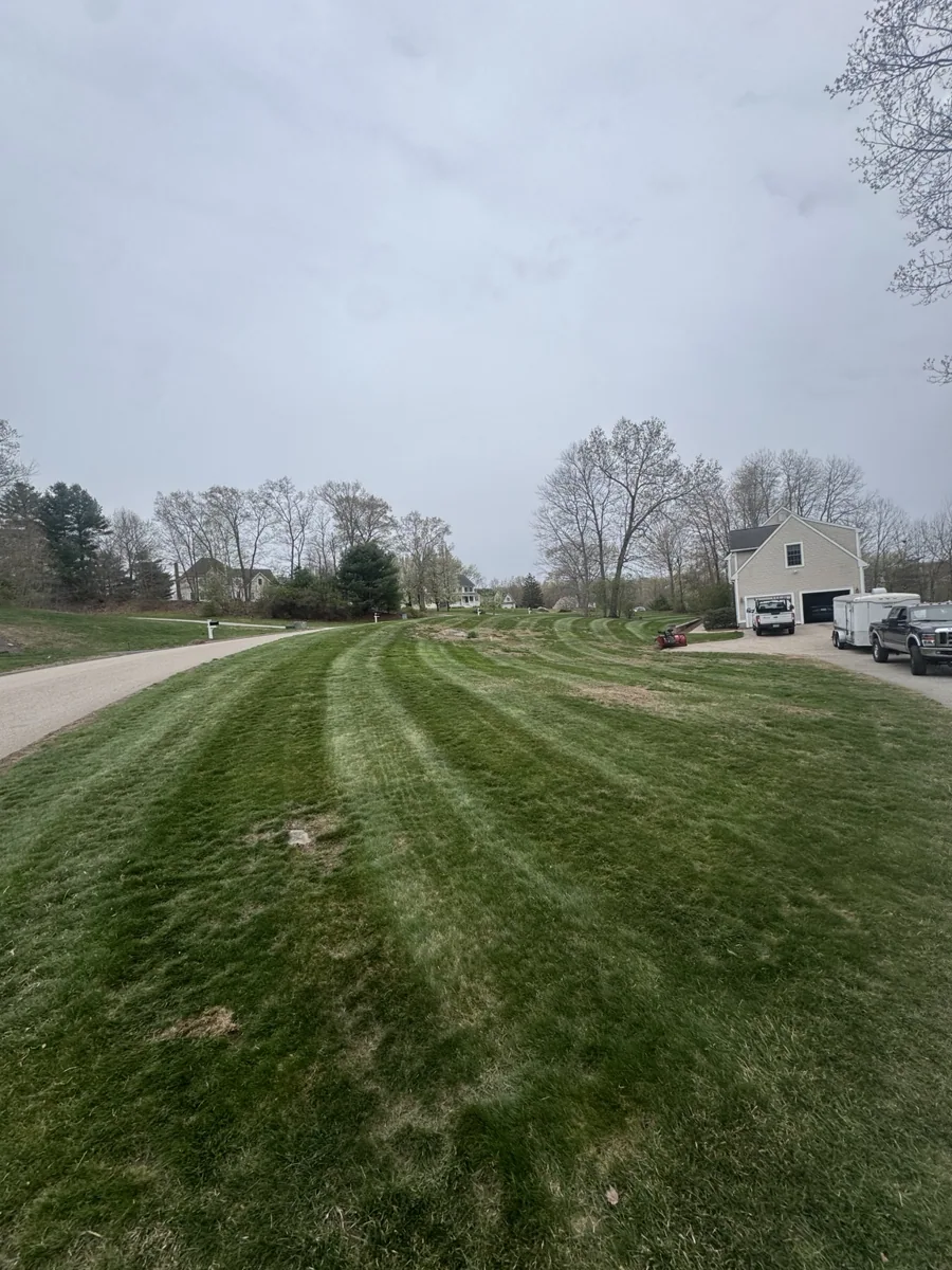 Striped lawn on a large residential property