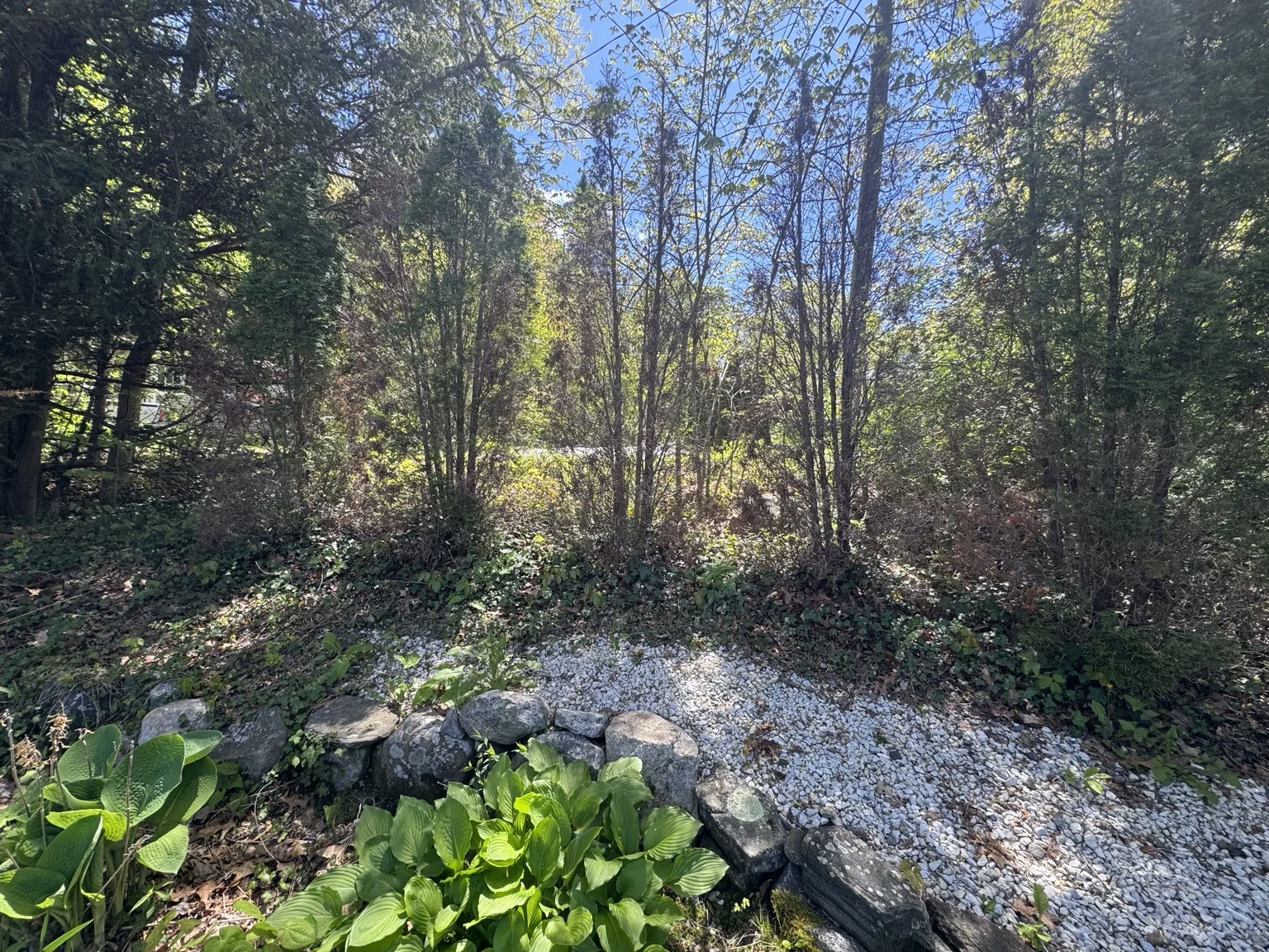 Before: stone bed before evergreen planting