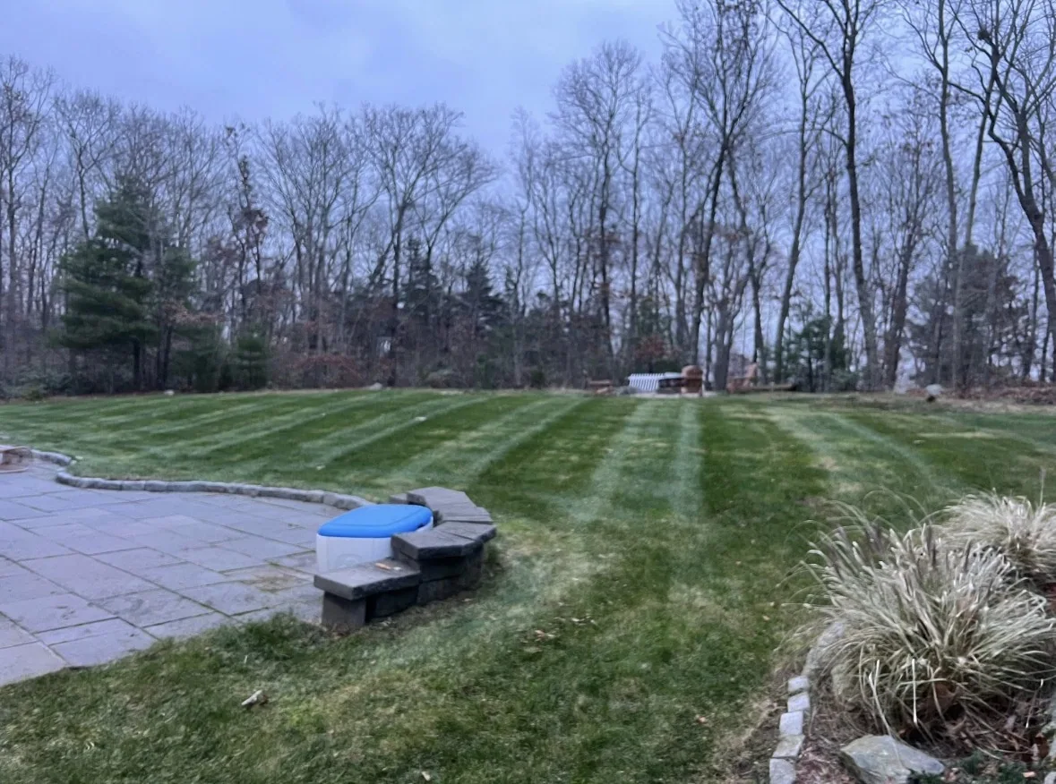 Fresh stripes across a backyard lawn