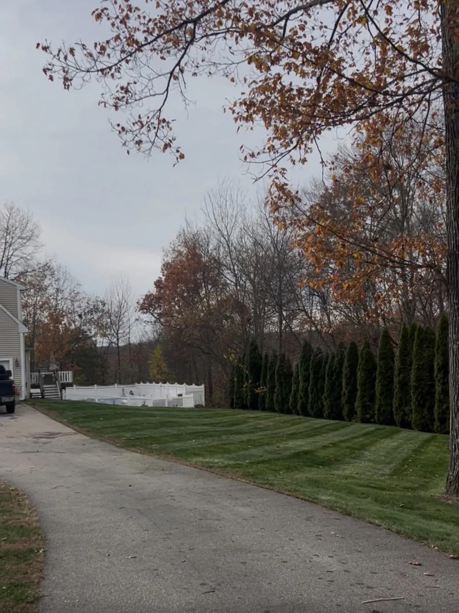Fresh mowing stripes beside a driveway