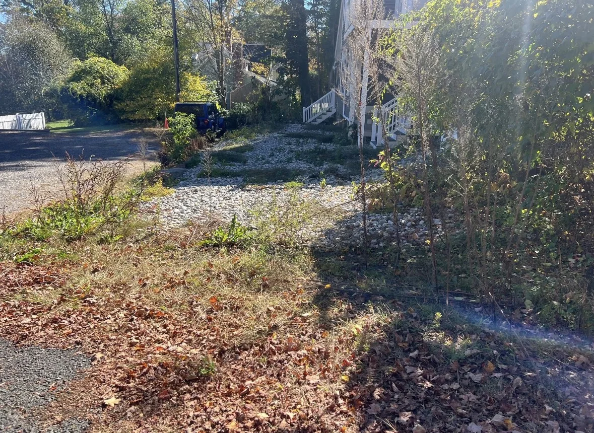 Overgrown stone landscaping area before cleanup