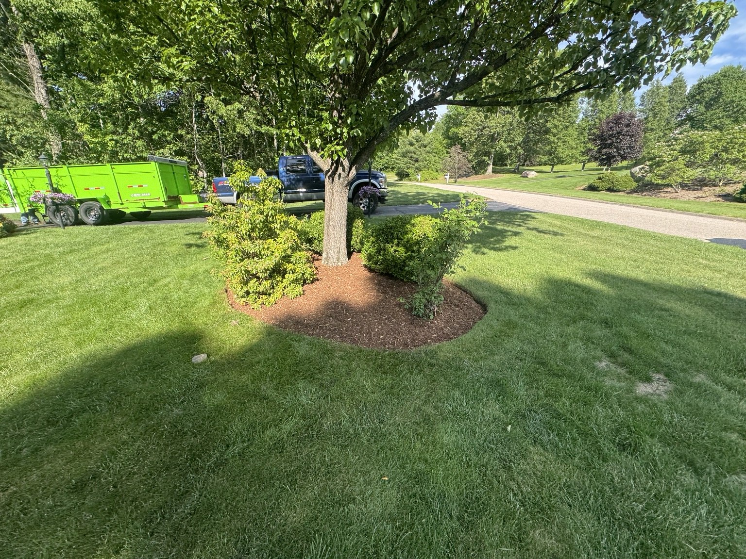 Tree bed with fresh mulch